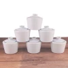 Mini ceramic salt jug 250ml white ceramic sugar pot coffee ceramic container porcelain jug