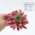 Import mini diy succulent artificial plant for home decor sing head succulent plant for Micro Landscape Design Flower Arrangement from China