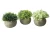 Import Mini Potted Artificial Plants Flowers for Bathroom for Home Office Decor from China