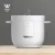 Import Mini Rice Cooker/Newest rice cooker /Fashionable Design / high quality , capacity 1.0L / 1.2L from China