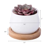 Mini White Color Ceramic Green Plant Pot Set Include Bamboo Tray