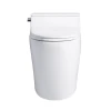 Modern Single Flushing 4.8L Guangdong Chinese Wc Toilets Sanitary Ware Ceramic
