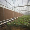 Multi-Span Film Greenhouse With Side Ventilation
