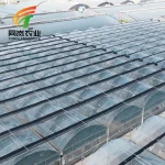 Multifunctional Polyethylene Film Green House Agriculture Modern Film Greenhouse Strawberry Planting Plastic Greenhouse