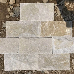 Mushroom Quartzite stone for wall