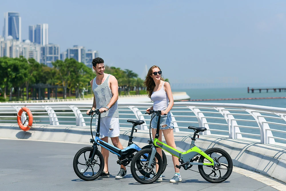 New Chinese 6 gears 20inch folding electric Urban city folding bike e bike 36V made in China