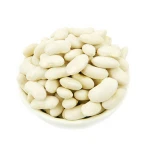 New Crop Natural Dried White Kidney Bean for export