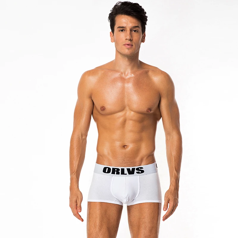 New Product Breathable Quick Dry briefs Underwear Men Sexy Gay Man Underwear Boxers