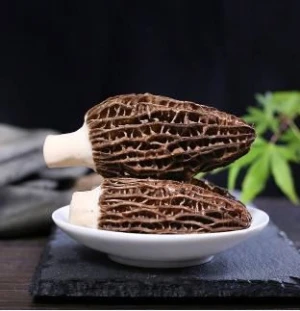 New Product High Quality Dried Mushroom Morel