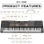 Import Newest Piano Toy Digital Piano  Keyboard Toy from China