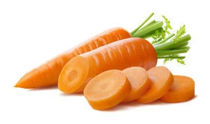 No Pollution Natural Fresh Carrot Competitive Carrot Price S/M/L/2L Specification Mesh Bag/Carton Package