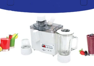 OEM Factory Mid-East market hot sell 350w 4IN1 multifunction food processor blender Mixer Plastic Glass Jar TYF-176P with CE CB