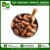 Import Organic Cocoa Seeds at Low Price from India
