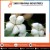 Import Organic Raw Cotton for Wicks from India