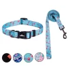 Original design Pink dog collar leash set fashion duty pet products cat dog collars with leash matching