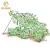 Import Painted Cucumber Tent Trellis from China