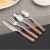 Import Peru Christmas dinner party gifts pp plastic handle ss410 cutlery set serve spoon knife fork from China