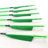 Pinals Spine 300-1000 Arrows Carbon Shaft Feather Vanes Pin Nocks Points for  Compound Recurve Bow Longbow Archery Hunting