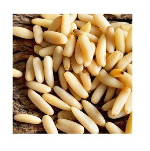 Pine nuts Wholesale Seller Best quality Bulk Quantity Wholesale rate