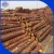 Import Pine round logs / pine wood / Pine wood price from China