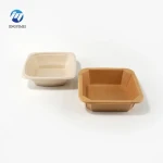 Plastic Lunch Box Bagasse Pulp Food Containers Sugarcane Bowl Safe ECO Friendly