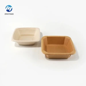 Plastic Lunch Box Bagasse Pulp Food Containers Sugarcane Bowl Safe ECO Friendly