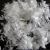 Import polyester Micro Fiber from China