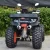 Import popular sales chain drive quad ATV 250CC from China