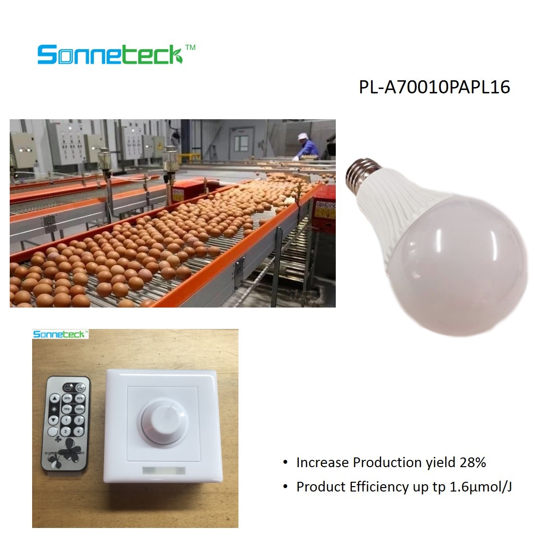 Poultry lamp egg production peak period extended for at least 5 weeks &amp; &gt;100g/pcs AVG for LED laying hen lighting