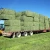 Import Premium Alfalfa Hay, Rhodes Grass, Oats Hay Ready / Oats Hay Animal Feed for Sale from Philippines