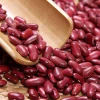 Premium-quality small & big red kidney bean for sale,fresh,dried and frozen kidney beans available