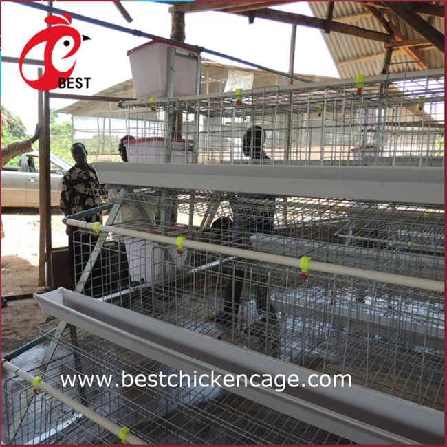 Price Of Battery Polutry Farming Chicken Cages In Nigeria