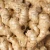Import price of china fresh ginger from China