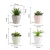 Import PRIMAISON Green Artificial Succulents small potted Plants Set Decorative Succulent Plant Faux Plastic Plant Indoor &Outdoor from China