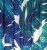Import Printed nylon spandex lycra swimwear fabric for swimsuit from China
