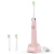 Import Private label service China shenzhen manufacturer sonic toothbrush H3 from China