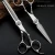Import Professional Hair Cutting Thinning Scissors Salon Hairdressing Shears Regular Flat Teeth Barber Scissors from China