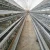 Import Professional manufacture cheap chicken farm layer cages for sale in zimbabwe from China