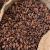 Import Quality Dried Cacao Beans / Cocoa- Beans From Cameroon from China