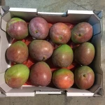R2E2 Mango