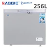 RAGGIE  Good Quality  Commercial Solar  Freezer 256L DC 12v Solar deep Freezer
