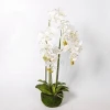 Real touch feeling latex made 5 branches artificial orchid plants orchid bonsai plant for decoration