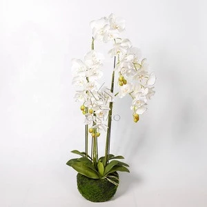 Real touch feeling latex made 5 branches artificial orchid plants orchid bonsai plant for decoration