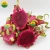 RED DRAGON FRUIT WITH BEST PRICE