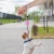 Import Retractable Pet Leash Durable Rope Extending Pet Walking Leads 2 M Mini Size from China