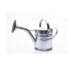 ROUND LONG SPOUT WATERING CAN FOR SALE