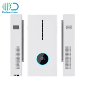 Rushan Wholesale Price Wall Mounted ESS Home LiFePO4 Battery Pack All In One Energy Storage System