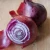Import S539 Yang Cong 100% Pure Nature Chinese Vegetable Red Onion Seeds For Planting from China