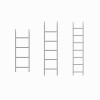 Scaffolding Ringlock Ladder