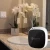 Scenta Top Sale Luxury Electric Waterless Aroma Diffuser Plastic Bluetooth Essential Oil Diffuser Wall Mounted Air Scent Diffuser Machine